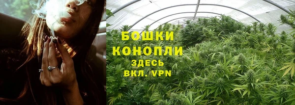 бутират Нягань