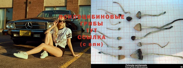 марихуана Няндома