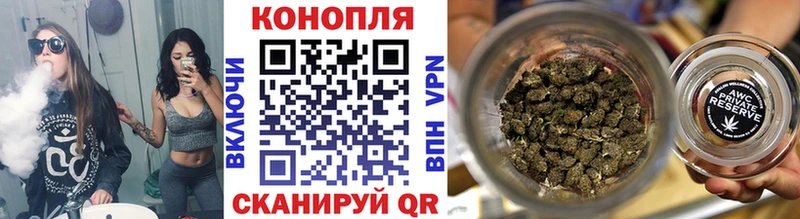 что такое   Каневская  Бошки Шишки семена 
